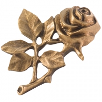 Rose, klein