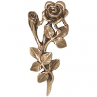 Rose, groß