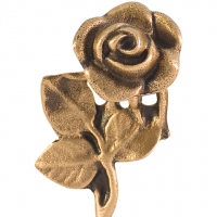 Rose, groß